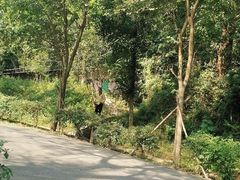 -田心森林公园