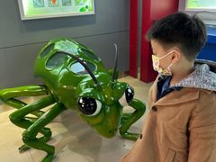 -上海昆虫博物馆