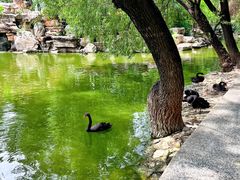 -石家庄市动物园