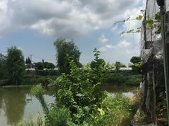 -马陆小张葡萄园农家乐