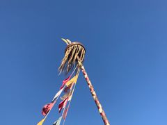 -乌兰布统草原