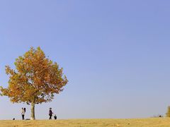 -钟山体育运动公园