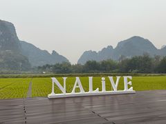 -明仕田园