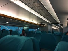 -龙阳路磁悬浮列车总站-停车场