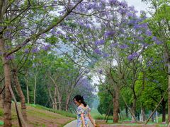 -白鹭湾湿地公园