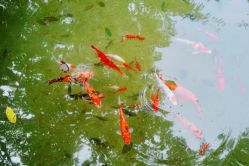 -莲生母婴月子中心(清水河公园店)