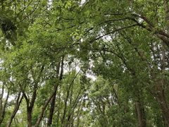 -同里国家湿地公园