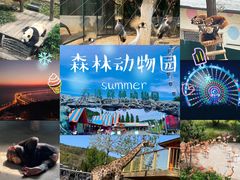 -大连老虎滩海洋公园