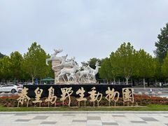 -秦皇岛野生动物园