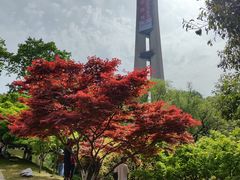 -南京古林公园