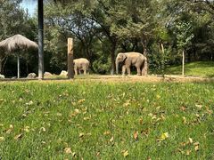 -北京野生动物园