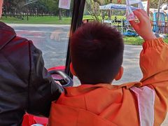 -黄海国家森林公园