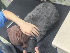 -瑞鹏宠物医院·微创内窥镜·骨外科·牙科(翠竹分院)