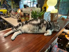 -咖法森林·咖啡  酒吧(天河店)