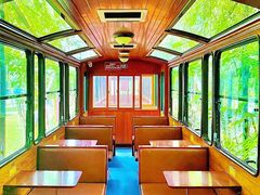 -合肥滨湖国家森林公园