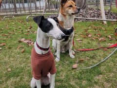 -COFFEE CALL(云锦路店)