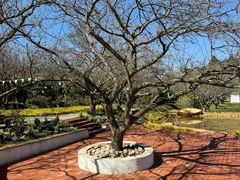 -名花谷生态庄园