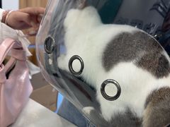 -博特宠物医院24h犬猫全科.骨科·异宠