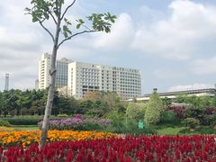 -文华公园(禅城区)
