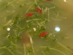 -天成·川菜家宴(礼岗店)
