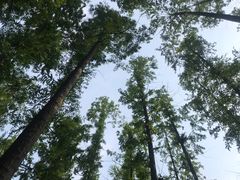 -南京金牛湖风景区