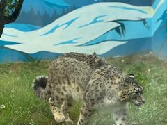-青藏高原野生动物园