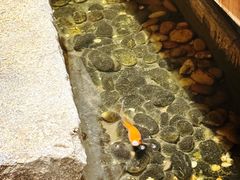 -邈墨茶馆(凤起路店)