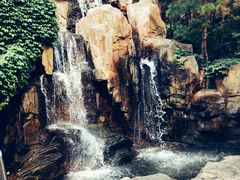 -燕塞湖鸟语林景区