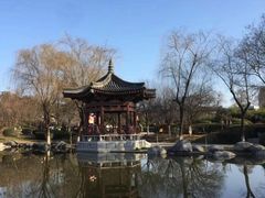 -西安青龙寺遗址景区