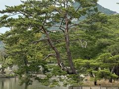-景福宫