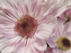 -水悦庭·影院足道·SPA ·商务休闲(光年汇店)