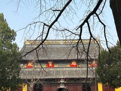 -西园戒幢律寺