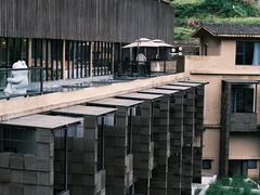 -杨家堂村