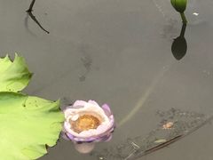 -云溪植物园