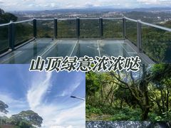 -黄埔油麻山森林公园