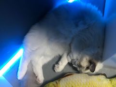 -零纪元VR体验馆·桌游(黄浦店)