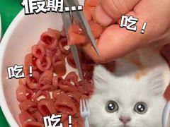 -喜来酌海鲜·饺子(和平一店)