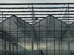 -建德果蔬乐园绪塘草莓基地