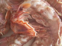 -兴隆海鲜菜馆