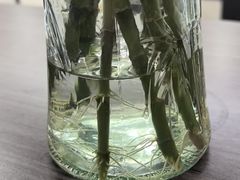 -首开·龙湖成都西宸天街