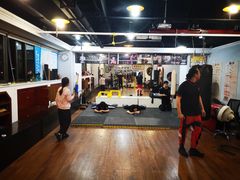 -温鉴良实用咏春拳