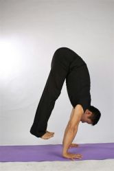 -Union瑜伽健康管理中心