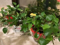 -DF游泳健身(贾家花园店)