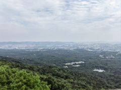 -紫金山山顶公园