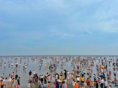 -奉贤海滩