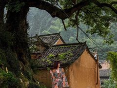 -杨家堂村
