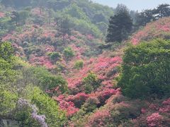 -木兰云雾山