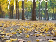 -天元公园