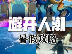 -海合安武汉极地海洋公园