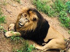 -石家庄市动物园